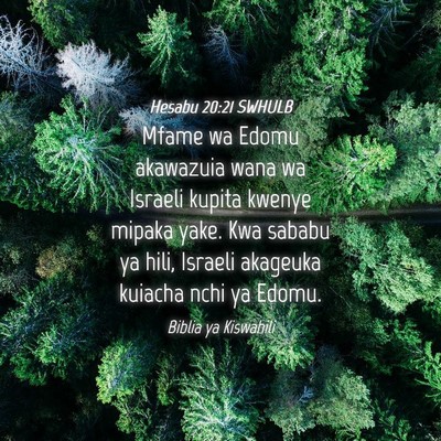 Picture 04 - Hesabu 20:21 SWHULB - Mfame wa Edomu akawazuia wana wa Israeli kupita - Bible Verse Picture