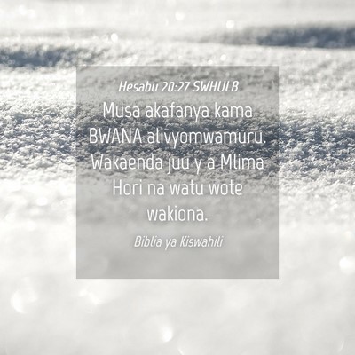 Picture 04 - Hesabu 20:27 SWHULB - Musa akafanya kama BWANA alivyomwamuru. Wakaenda - Bible Verse Picture