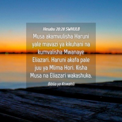 Picture 04 - Hesabu 20:28 SWHULB - Musa akamvulisha Haruni yale mavazi ya kikuhani - Bible Verse Picture