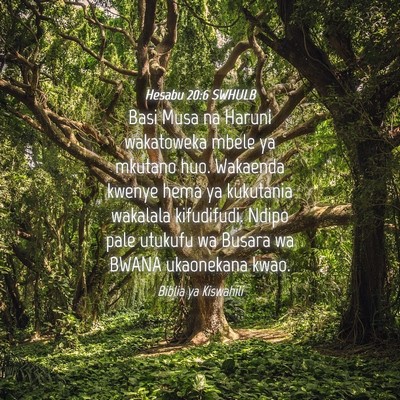 Picture 04 - Hesabu 20:6 SWHULB - Basi Musa na Haruni wakatoweka mbele ya mkutano - Bible Verse Picture