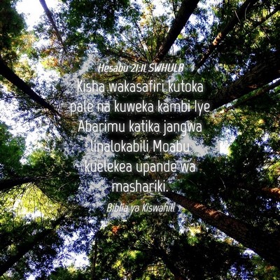 Picture 04 - Hesabu 21:11 SWHULB - Kisha wakasafiri kutoka pale na kuweka kambi Iye - Bible Verse Picture