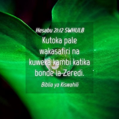 Picture 04 - Hesabu 21:12 SWHULB - Kutoka pale wakasafiri na kuweka kambi katika - Bible Verse Picture