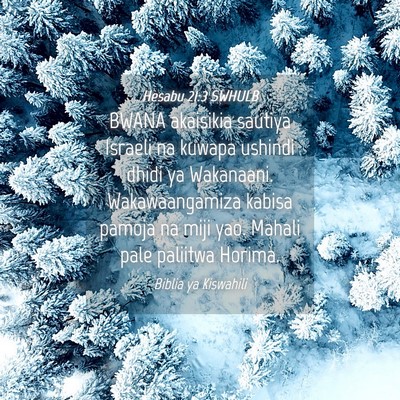 Picture 04 - Hesabu 21:3 SWHULB - BWANA akaisikia sautiya Israeli na kuwapa ushindi - Bible Verse Picture