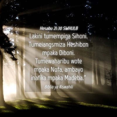 Picture 04 - Hesabu 21:30 SWHULB - Lakini tumempiga Sihoni. Tumeiangsmiza Heshibon - Bible Verse Picture