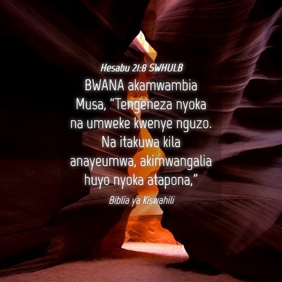 Picture 04 - Hesabu 21:8 SWHULB - BWANA akamwambia Musa, “Tengeneza nyoka na - Bible Verse Picture