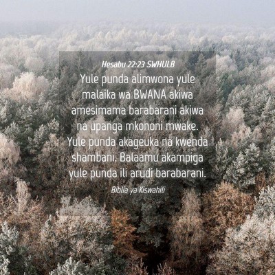 Picture 04 - Hesabu 22:23 SWHULB - Yule punda alimwona yule malaika wa BWANA akiwa - Bible Verse Picture