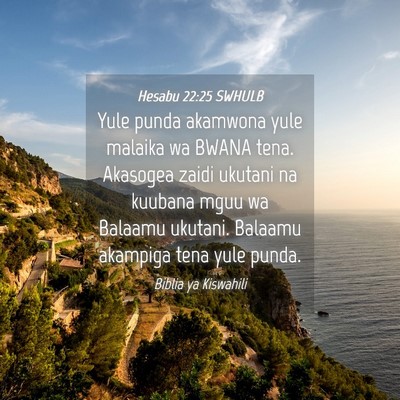 Picture 04 - Hesabu 22:25 SWHULB - Yule punda akamwona yule malaika wa BWANA tena. - Bible Verse Picture