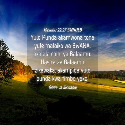 Picture 04 - Hesabu 22:27 SWHULB - Yule Punda akamwona tena yule malaika wa BWANA, - Bible Verse Picture