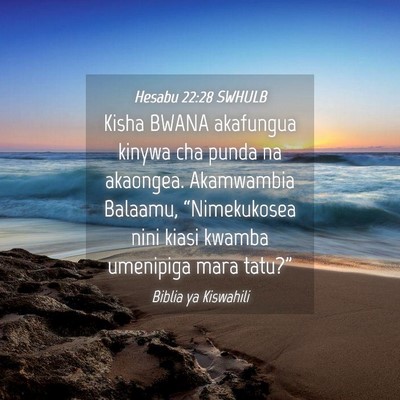 Picture 04 - Hesabu 22:28 SWHULB - Kisha BWANA akafungua kinywa cha punda na - Bible Verse Picture
