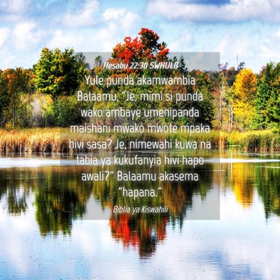 Picture 04 - Hesabu 22:30 SWHULB - Yule punda akamwambia Balaamu, “Je, mimi si - Bible Verse Picture