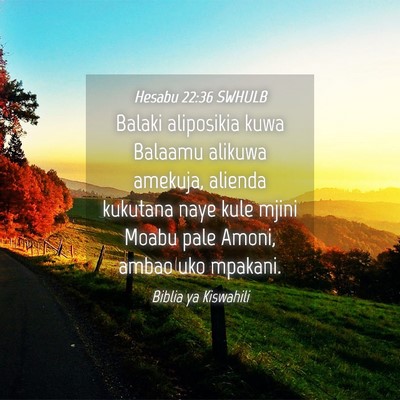 Picture 04 - Hesabu 22:36 SWHULB - Balaki aliposikia kuwa Balaamu alikuwa amekuja, - Bible Verse Picture