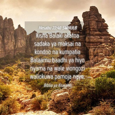 Picture 04 - Hesabu 22:40 SWHULB - Kisha Balaki akatoa sadaka ya maksai na kondoo na - Bible Verse Picture