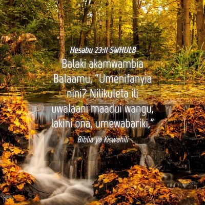 Picture 04 - Hesabu 23:11 SWHULB - Balaki akamwambia Balaamu, “Umenifanyia nini? - Bible Verse Picture