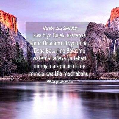 Picture 04 - Hesabu 23:2 SWHULB - Kwa hiyo Balaki akafanya kama Balaamu alivyoomba. - Bible Verse Picture