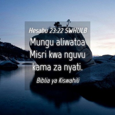 Picture 04 - Hesabu 23:22 SWHULB - Mungu aliwatoa Misri kwa nguvu kama za - Bible Verse Picture