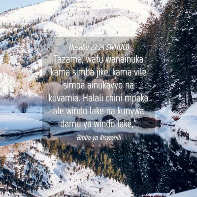 Picture 04 - Hesabu 23:24 SWHULB - Tazama, watu wanainuka kama simba jike, kama vile - Bible Verse Picture