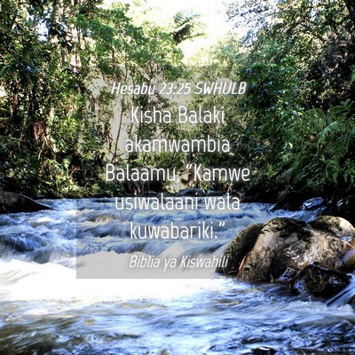Picture 04 - Hesabu 23:25 SWHULB - Kisha Balaki akamwambia Balaamu, “Kamwe - Bible Verse Picture