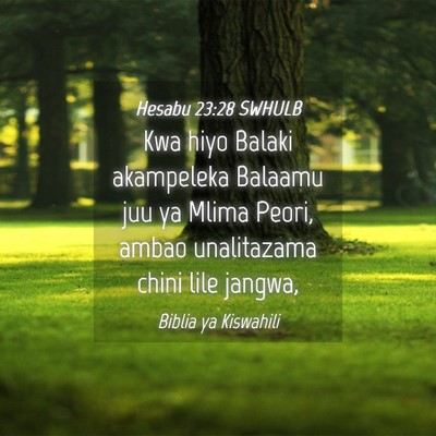 Picture 04 - Hesabu 23:28 SWHULB - Kwa hiyo Balaki akampeleka Balaamu juu ya Mlima - Bible Verse Picture