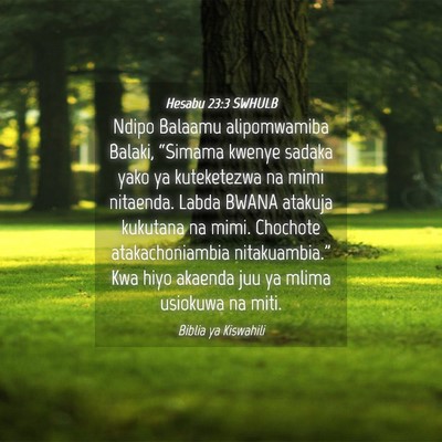 Picture 04 - Hesabu 23:3 SWHULB - Ndipo Balaamu alipomwamiba Balaki, “Simama - Bible Verse Picture
