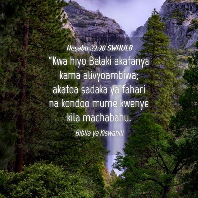 Picture 04 - Hesabu 23:30 SWHULB - “Kwa hiyo Balaki akafanya kama alivyoambiwa; - Bible Verse Picture