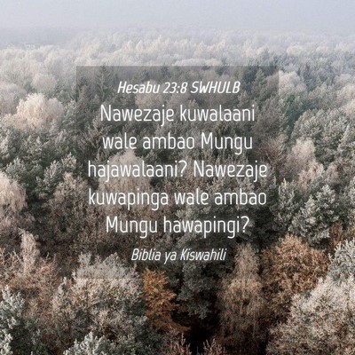 Picture 04 - Hesabu 23:8 SWHULB - Nawezaje kuwalaani wale ambao Mungu hajawalaani? - Bible Verse Picture