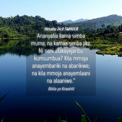 Picture 04 - Hesabu 24:9 SWHULB - Ananyatia kama simba mume, na kamaa simba jike. - Bible Verse Picture
