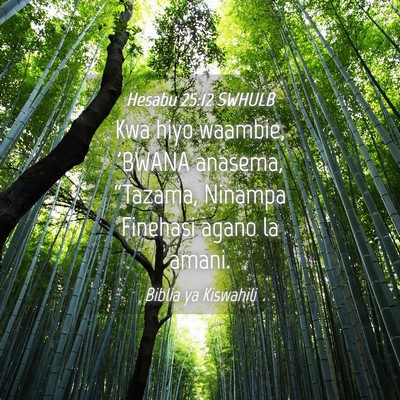Picture 04 - Hesabu 25:12 SWHULB - Kwa hiyo waambie, 'BWANA anasema, “Tazama, - Bible Verse Picture