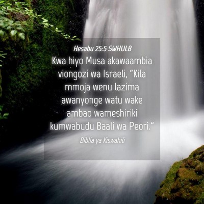 Picture 04 - Hesabu 25:5 SWHULB - Kwa hiyo Musa akawaambia viongozi wa Israeli, - Bible Verse Picture