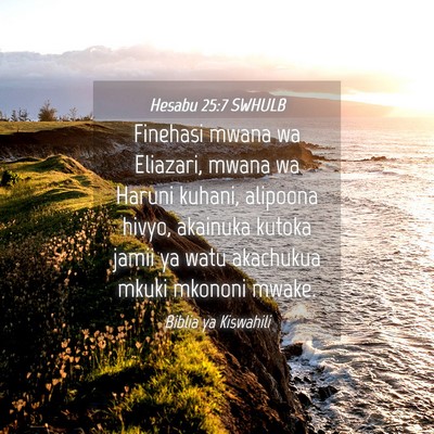 Picture 04 - Hesabu 25:7 SWHULB - Finehasi mwana wa Eliazari, mwana wa Haruni - Bible Verse Picture