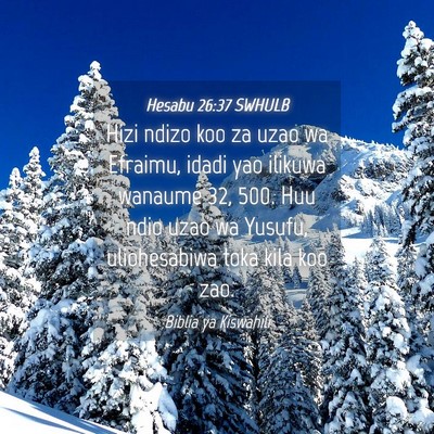 Picture 04 - Hesabu 26:37 SWHULB - Hizi ndizo koo za uzao wa Efraimu, idadi yao - Bible Verse Picture