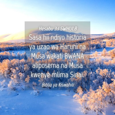 Picture 04 - Hesabu 3:1 SWHULB - Sasa hii ndiyo historia ya uzao wa Haruni na Musa - Bible Verse Picture