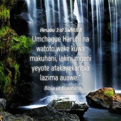 Picture 04 - Hesabu 3:10 SWHULB - Umchague Haruni na watoto wake kuwa makuhani, - Bible Verse Picture