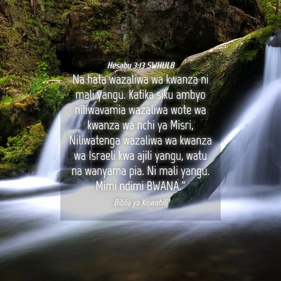Picture 04 - Hesabu 3:13 SWHULB - Na hata wazaliwa wa kwanza ni mali yangu. Katika - Bible Verse Picture