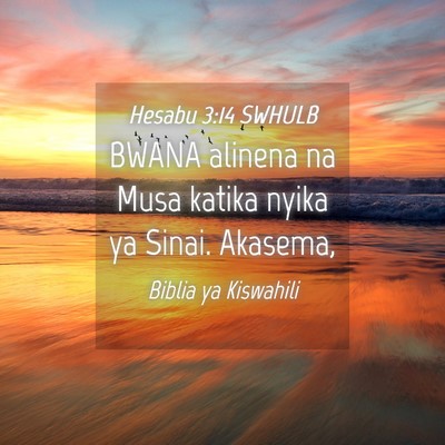 Picture 04 - Hesabu 3:14 SWHULB - BWANA alinena na Musa katika nyika ya Sinai. - Bible Verse Picture