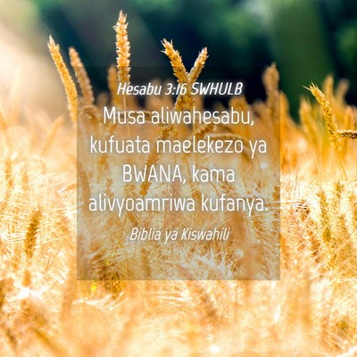Picture 04 - Hesabu 3:16 SWHULB - Musa aliwahesabu, kufuata maelekezo ya BWANA, - Bible Verse Picture