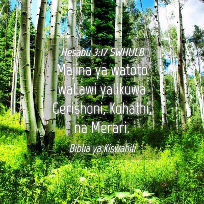 Picture 04 - Hesabu 3:17 SWHULB - Majina ya watoto waLawi yalikuwa Gerishoni, - Bible Verse Picture