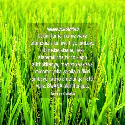 Picture 04 - Hesabu 30:8 SWHULB - Lakini kama mume wake atamzuia siku hiyo hiyo - Bible Verse Picture