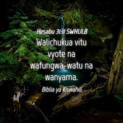 Picture 04 - Hesabu 31:11 SWHULB - Walichukua vitu vyote na wafungwa, watu na - Bible Verse Picture