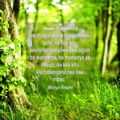 Picture 04 - Hesabu 31:20 SWHULB - Na mtayatakasa mavazi yenu yote, na kila kitu - Bible Verse Picture