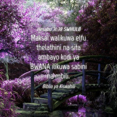 Picture 04 - Hesabu 31:38 SWHULB - Maksai walikuwa elfu thelathini na sita ambayo - Bible Verse Picture
