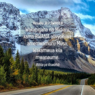 Picture 04 - Hesabu 31:7 SWHULB - Wakapigana na Midiani, kama BWANA alivyokuwa - Bible Verse Picture