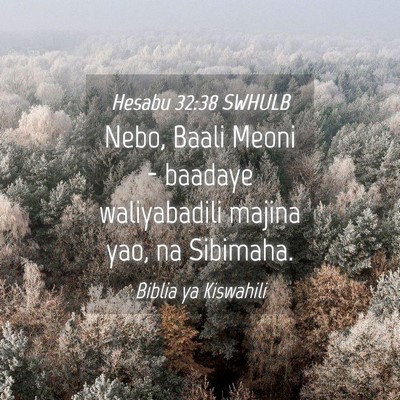 Picture 04 - Hesabu 32:38 SWHULB - Nebo, Baali Meoni - baadaye waliyabadili majina - Bible Verse Picture