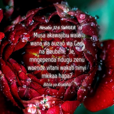 Picture 04 - Hesabu 32:6 SWHULB - Musa akawajibu wale wana wa auzao wa Gadi na - Bible Verse Picture