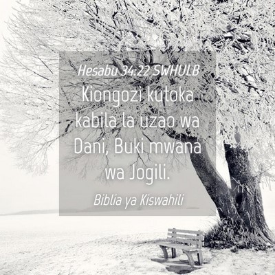 Picture 04 - Hesabu 34:22 SWHULB - Kiongozi kutoka kabila la uzao wa Dani, Buki - Bible Verse Picture