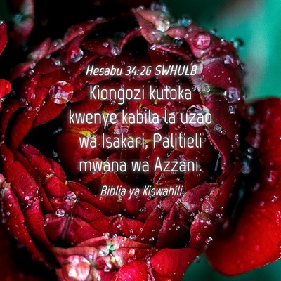 Picture 04 - Hesabu 34:26 SWHULB - Kiongozi kutoka kwenye kabila la uzao wa Isakari, - Bible Verse Picture