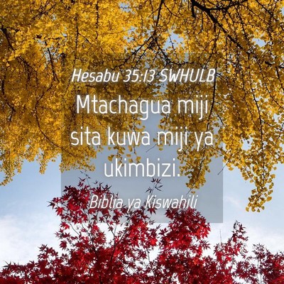 Picture 04 - Hesabu 35:13 SWHULB - Mtachagua miji sita kuwa miji ya - Bible Verse Picture