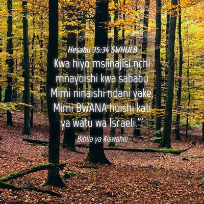 Picture 04 - Hesabu 35:34 SWHULB - Kwa hiyo msiinajisi nchi mnayoishi kwa sababu - Bible Verse Picture