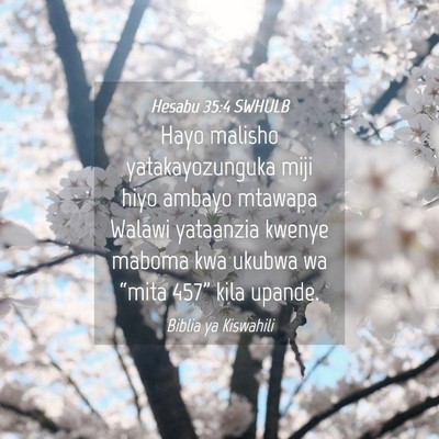 Picture 04 - Hesabu 35:4 SWHULB - Hayo malisho yatakayozunguka miji hiyo ambayo - Bible Verse Picture