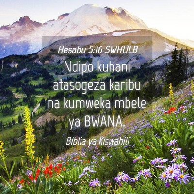 Picture 04 - Hesabu 5:16 SWHULB - Ndipo kuhani atasogeza karibu na kumweka mbele ya - Bible Verse Picture