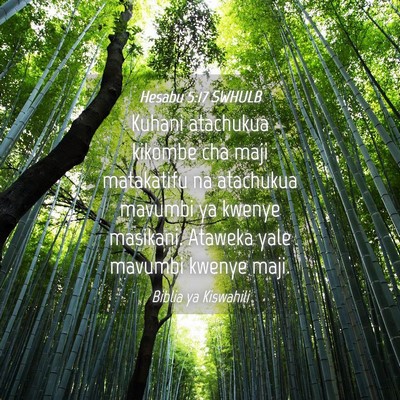 Picture 04 - Hesabu 5:17 SWHULB - Kuhani atachukua kikombe cha maji matakatifu na - Bible Verse Picture